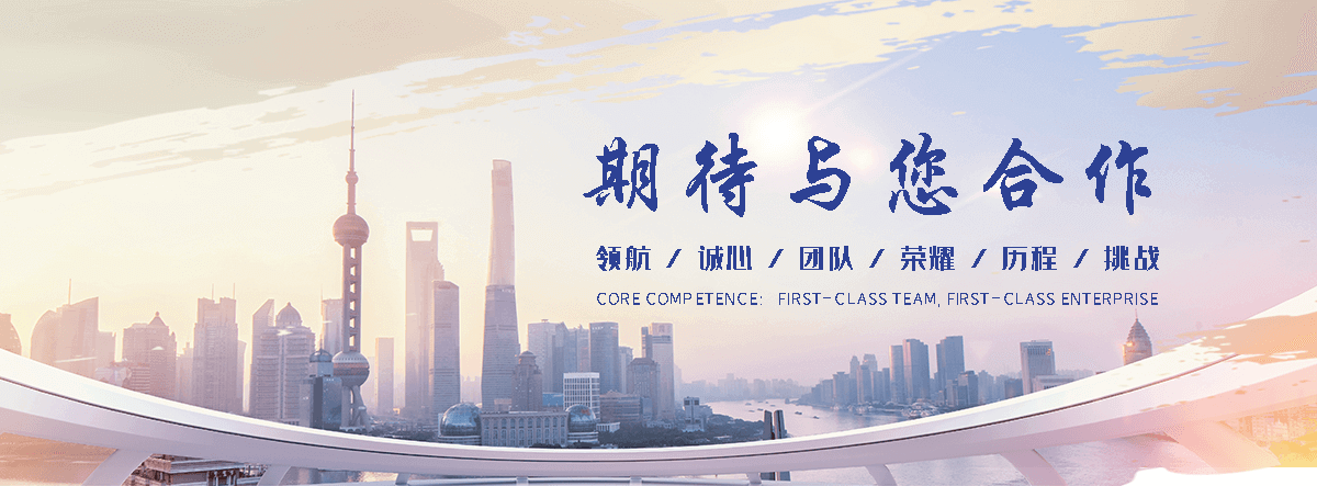 合阳电子地磅